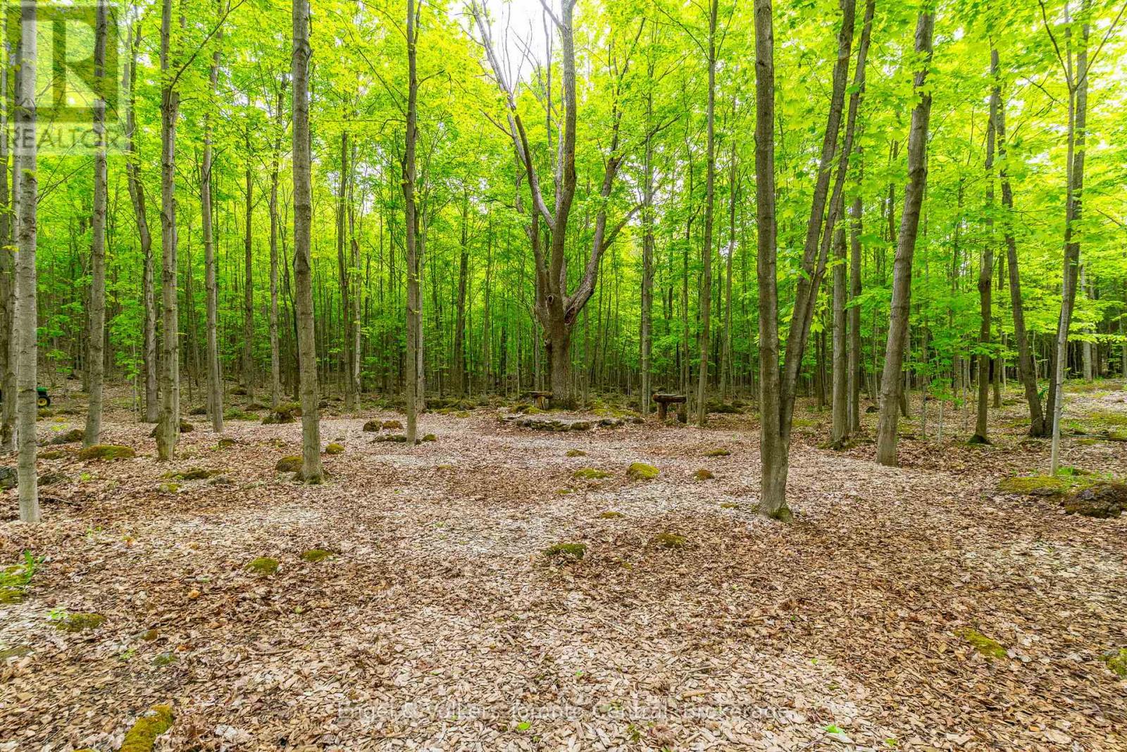 215588 Concession 4, Chatsworth, Ontario  N0H 2V0 - Photo 46 - X12208304