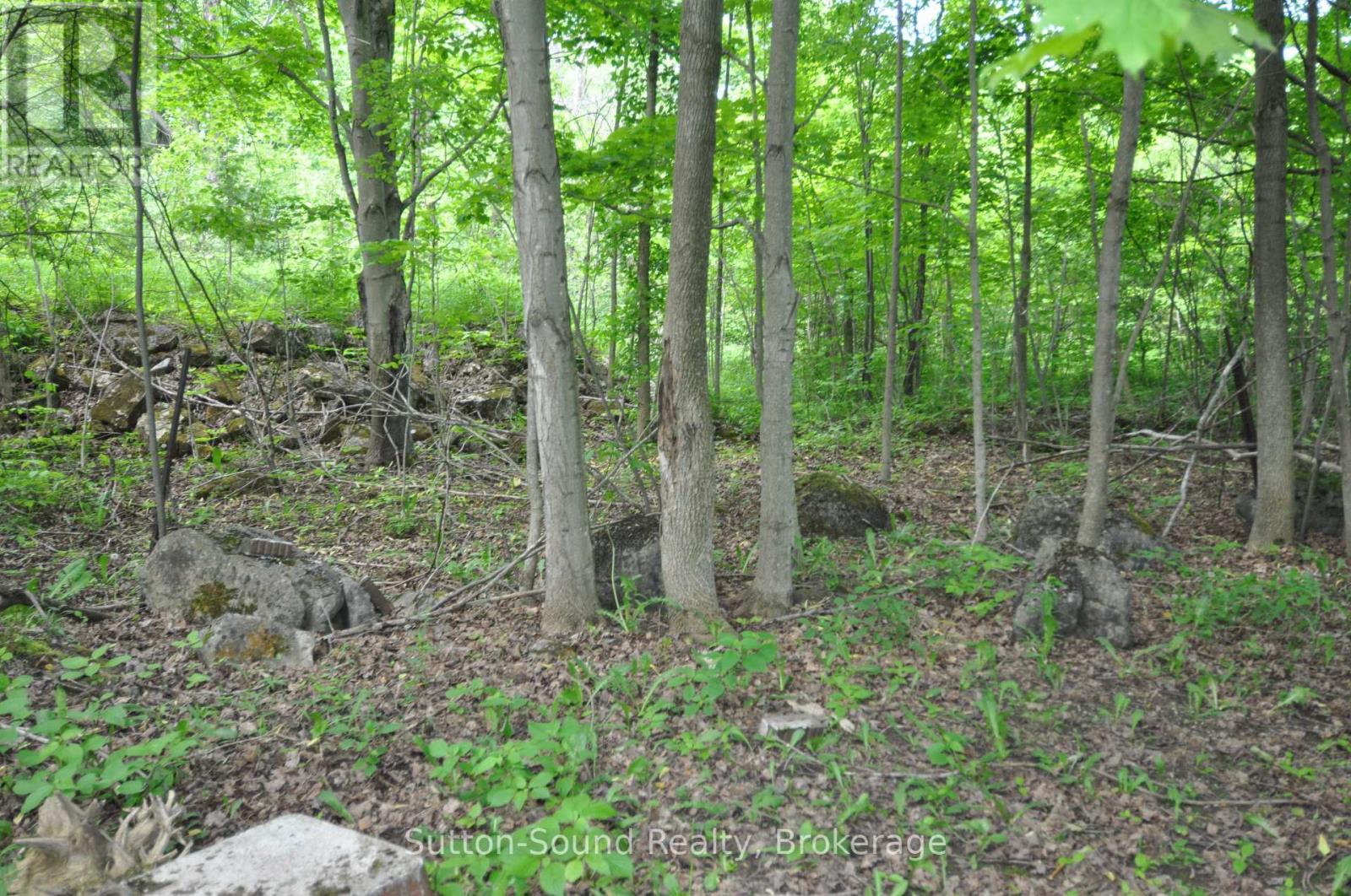 719140 Highway 6 Highway, Georgian Bluffs, Ontario  N0H 2K0 - Photo 39 - X12208822