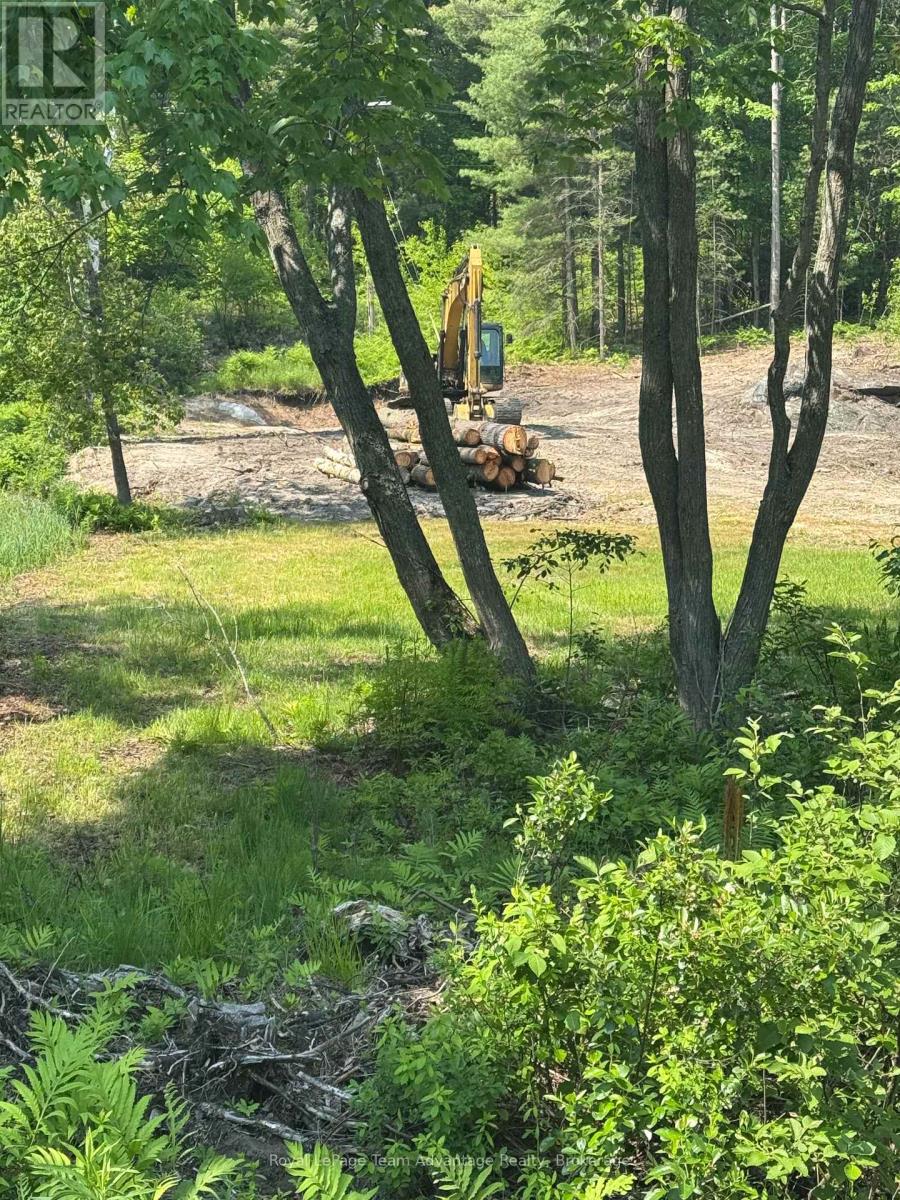 98 Louisa Street, Parry Sound, Ontario  P2A 3C1 - Photo 5 - X12209717