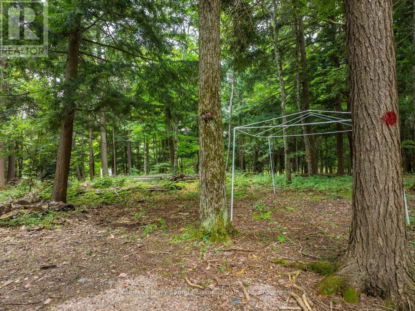 131 Moonwing Road, Magnetawan, Ontario  P0A 1A0 - Photo 23 - X12211059