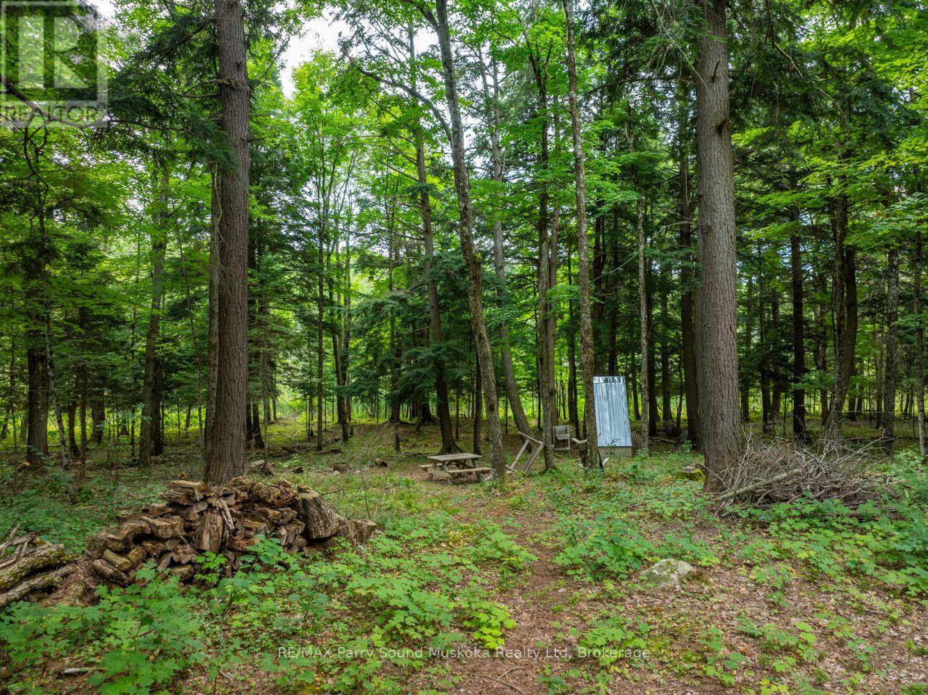 131 Moonwing Road, Magnetawan, Ontario  P0A 1A0 - Photo 24 - X12211059