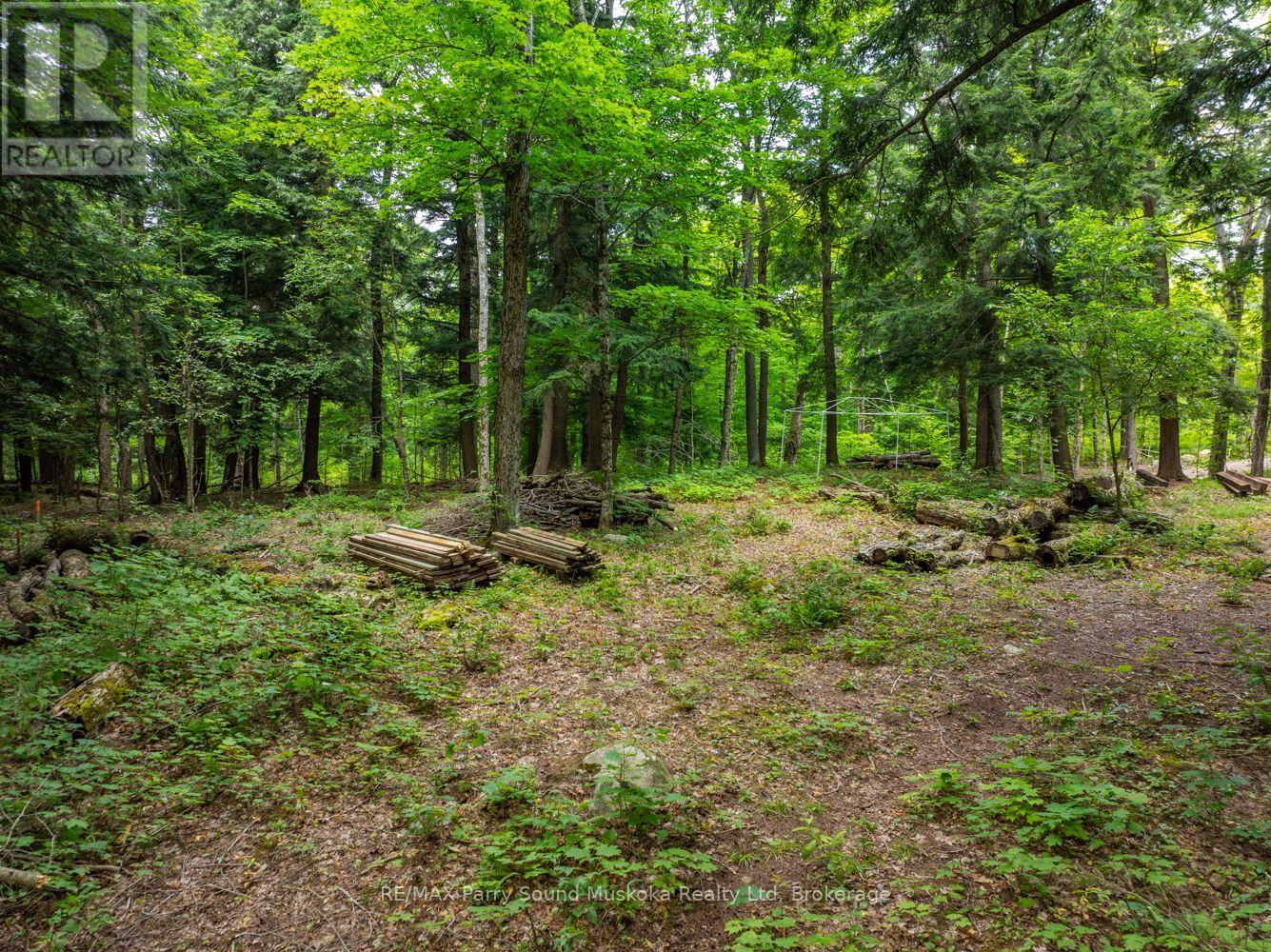 131 Moonwing Road, Magnetawan, Ontario  P0A 1A0 - Photo 25 - X12211059