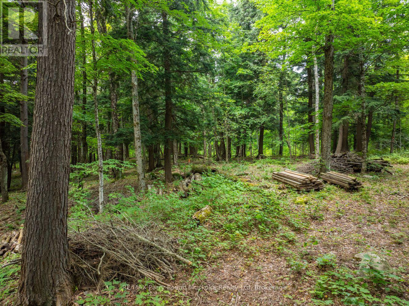 131 Moonwing Road, Magnetawan, Ontario  P0A 1A0 - Photo 26 - X12211059