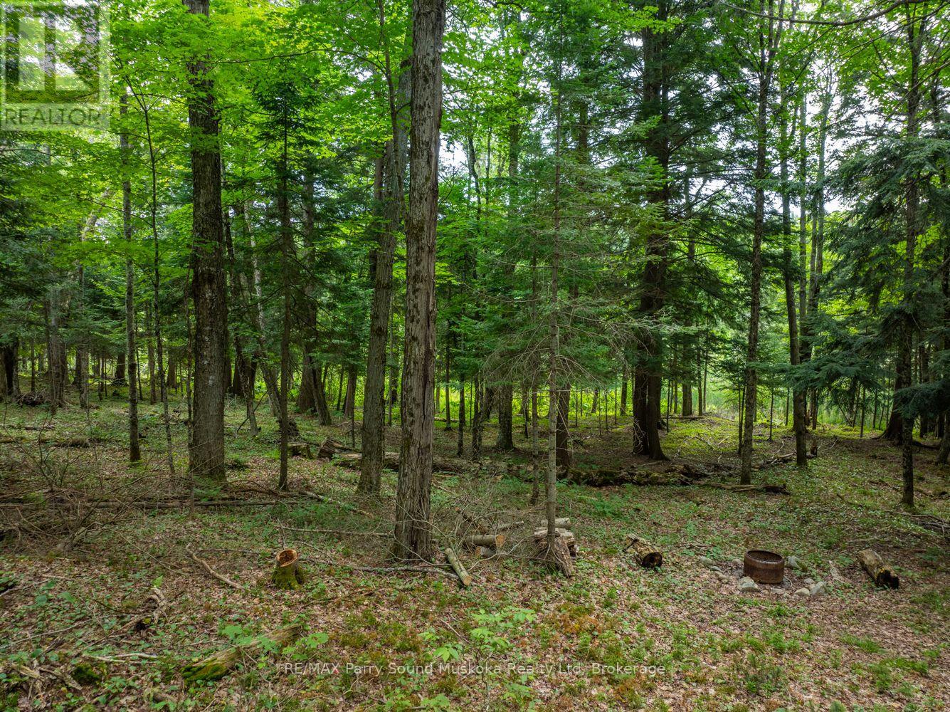 131 Moonwing Road, Magnetawan, Ontario  P0A 1A0 - Photo 27 - X12211059