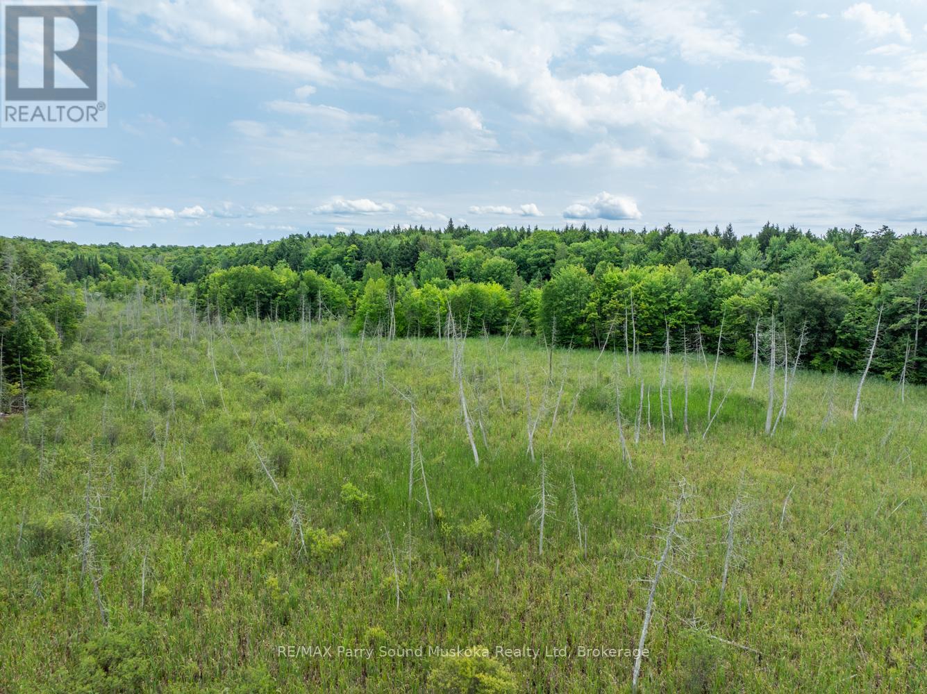 131 Moonwing Road, Magnetawan, Ontario  P0A 1A0 - Photo 35 - X12211059