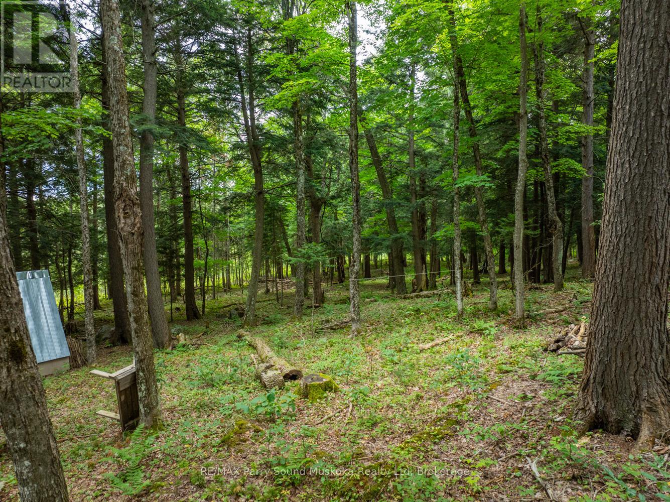 131 Moonwing Road, Magnetawan, Ontario  P0A 1A0 - Photo 4 - X12211059