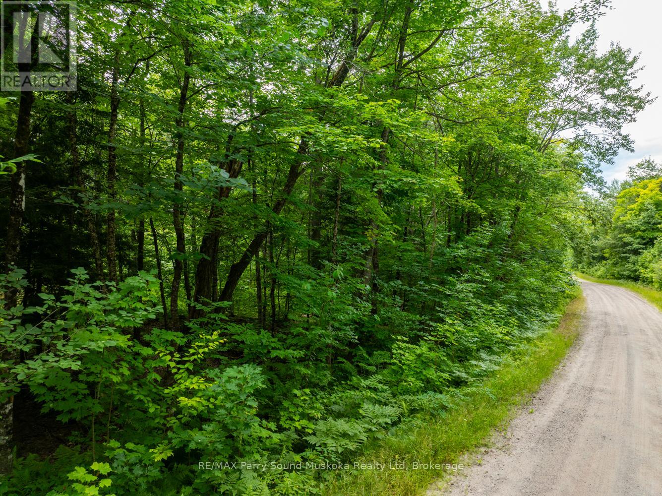 131 Moonwing Road, Magnetawan, Ontario  P0A 1A0 - Photo 8 - X12211059