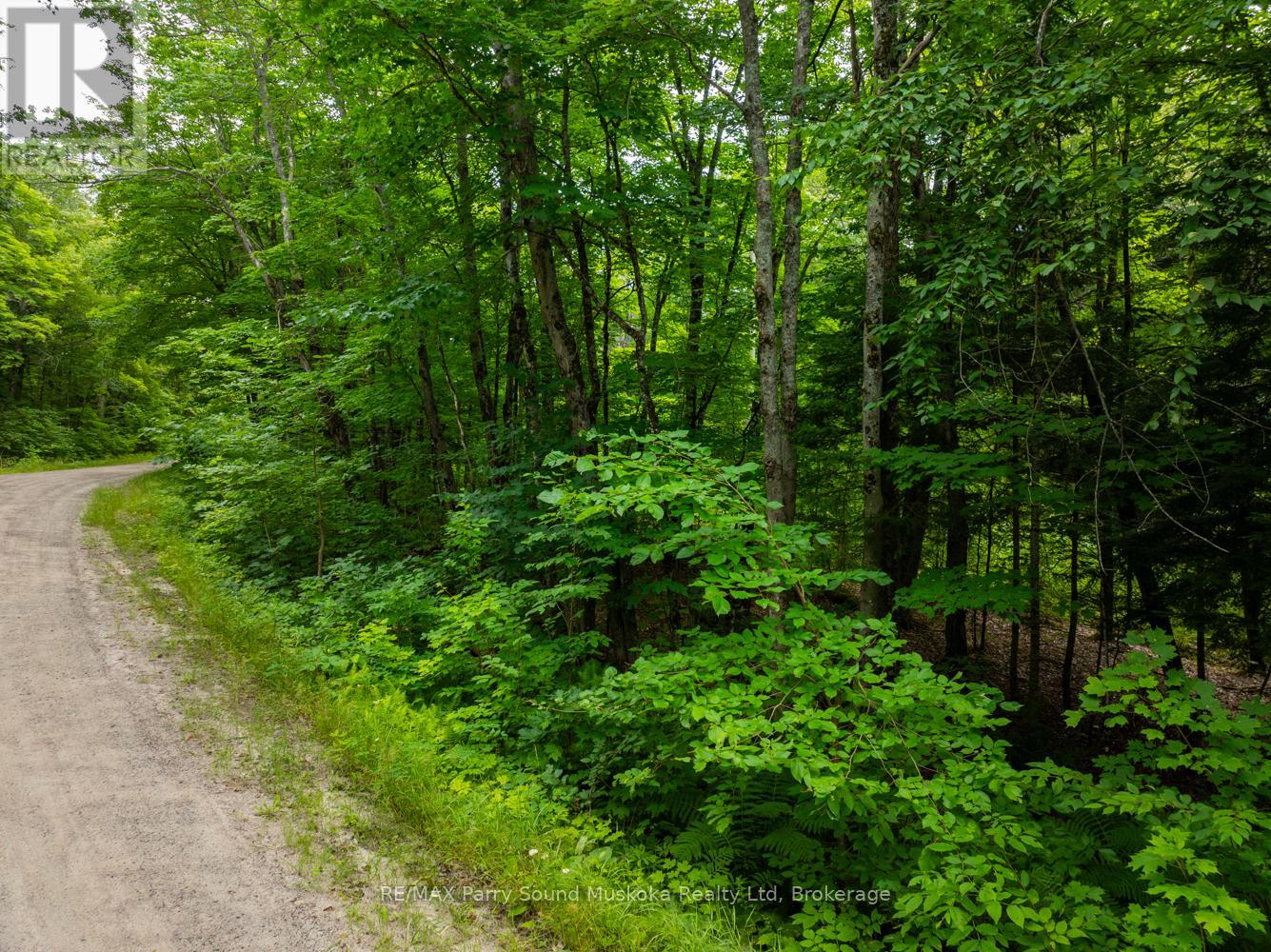 131 Moonwing Road, Magnetawan, Ontario  P0A 1A0 - Photo 9 - X12211059