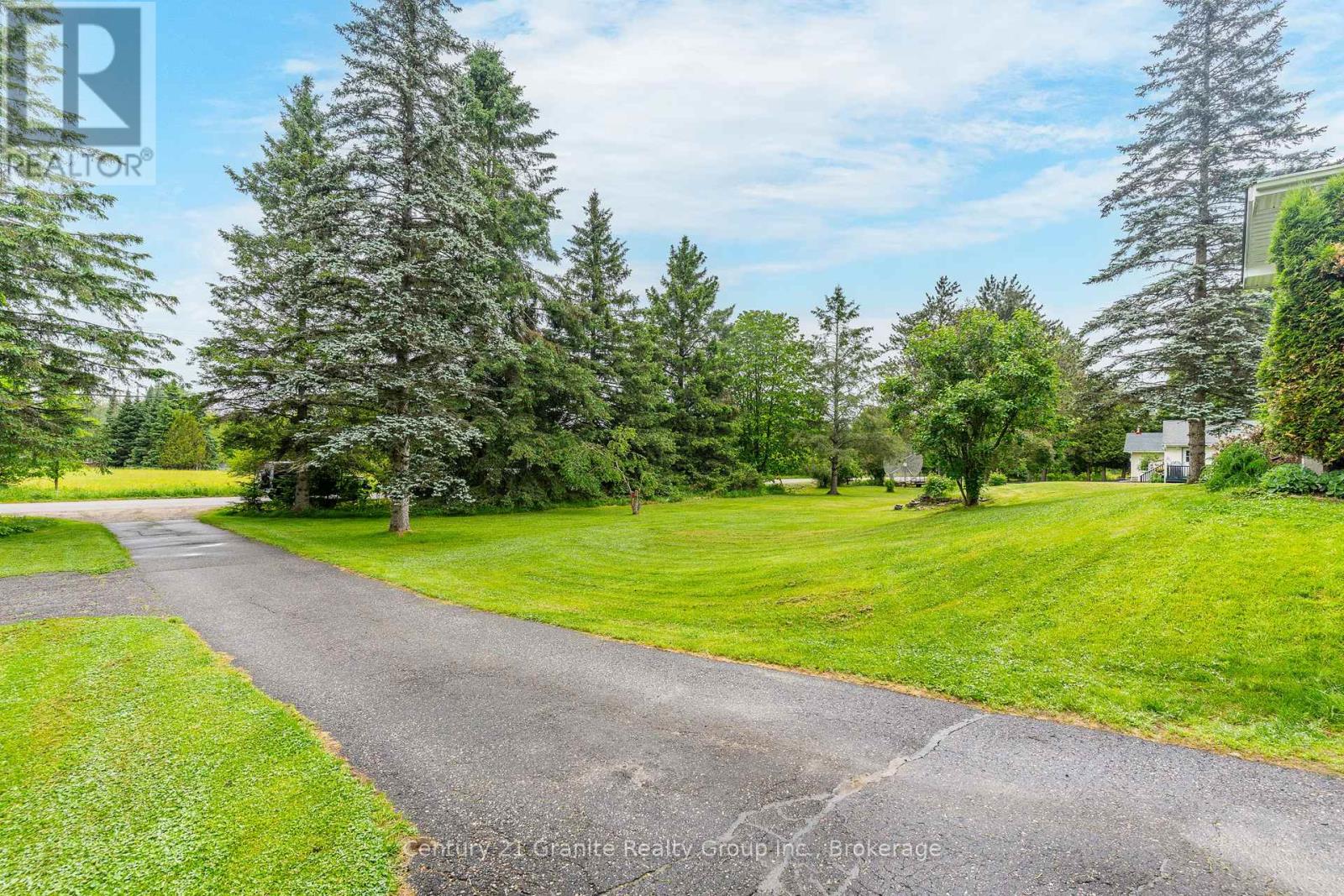 1203 Spring Valley Road, Minden Hills, Ontario  K0M 2K0 - Photo 5 - X12212127