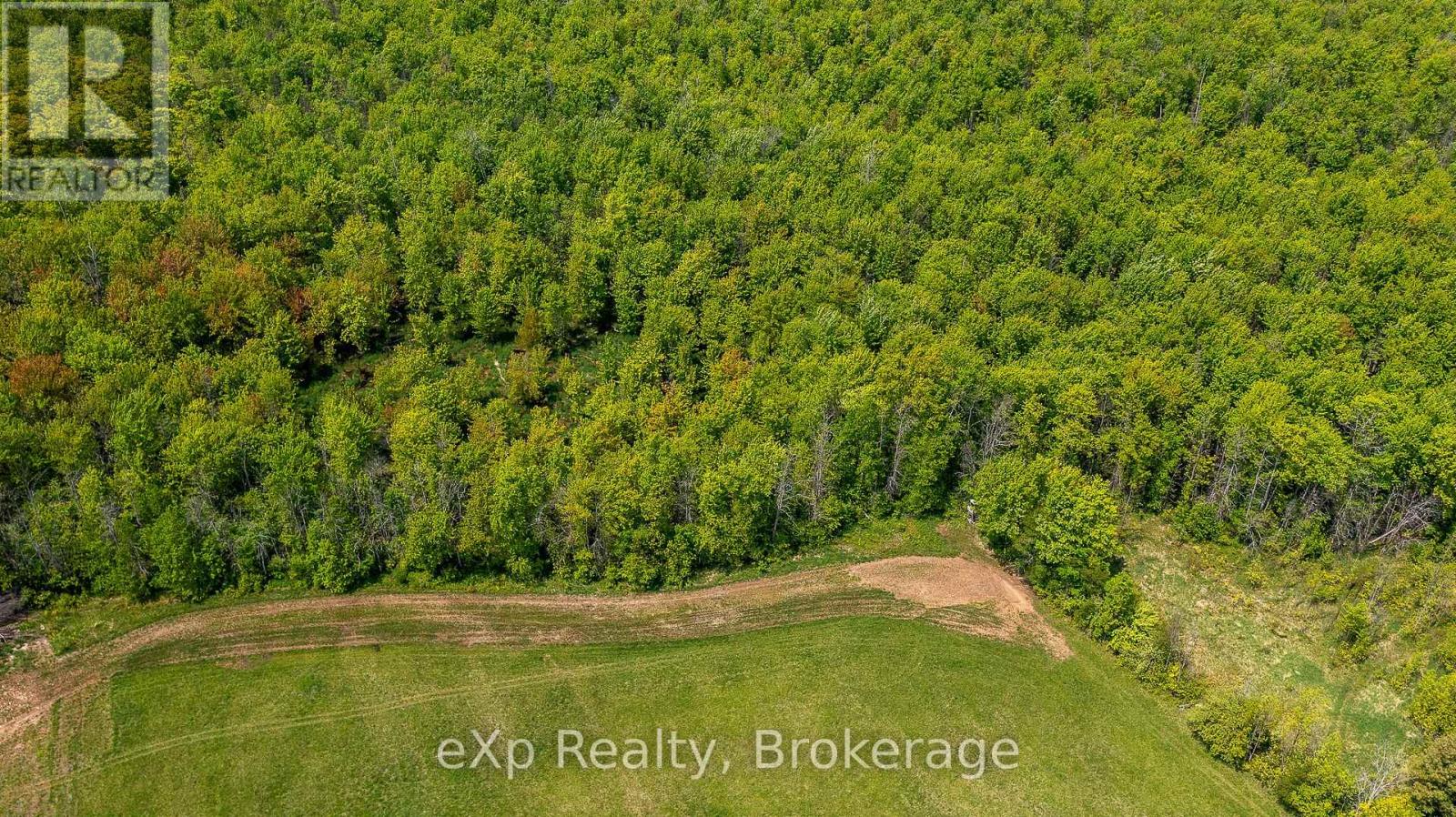 382137 Concession Rd 17, Georgian Bluffs, Ontario  N0H 2T0 - Photo 46 - X12212200