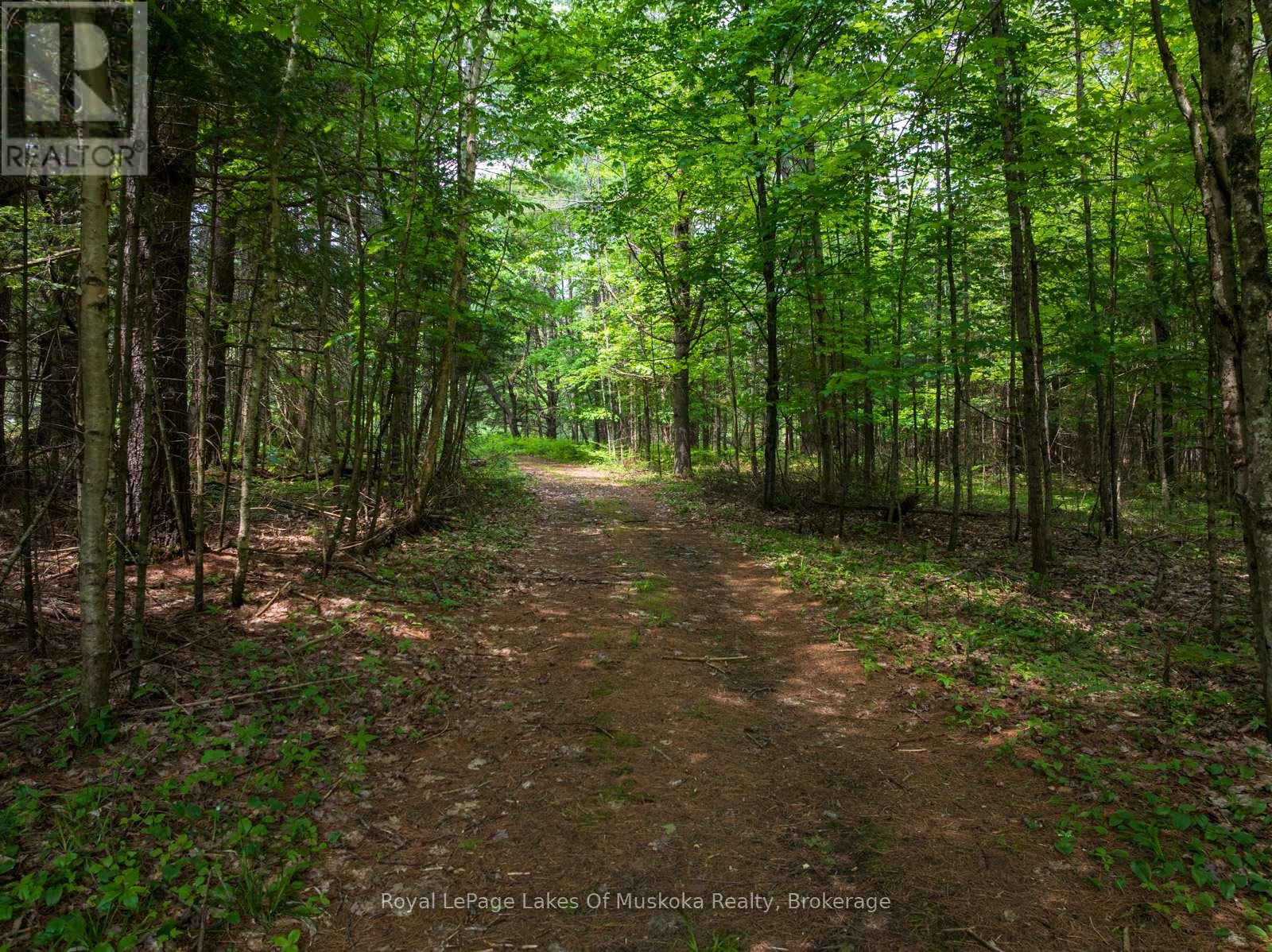 1216 Ravenscliffe Road, Huntsville, Ontario  P1H 0J3 - Photo 6 - X12213172