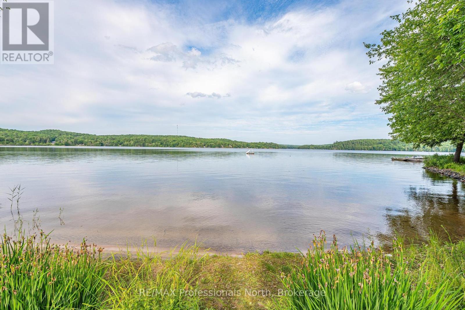 1015 Blackberry Lane, Minden Hills, Ontario  K0M 2K0 - Photo 7 - X12213252