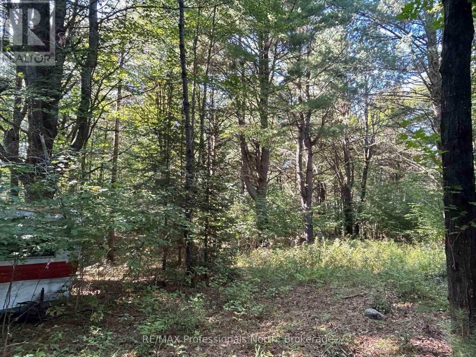 0 Gates Road, Dysart Et Al, Ontario  K0M 1S0 - Photo 11 - X12213342
