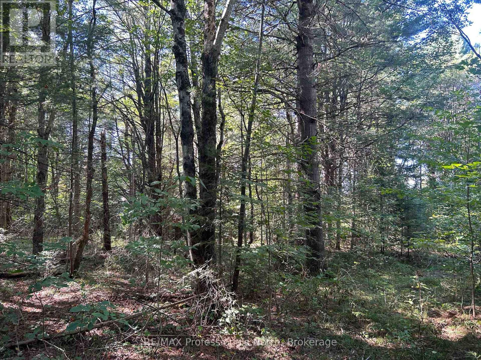 0 Gates Road, Dysart Et Al, Ontario  K0M 1S0 - Photo 12 - X12213342