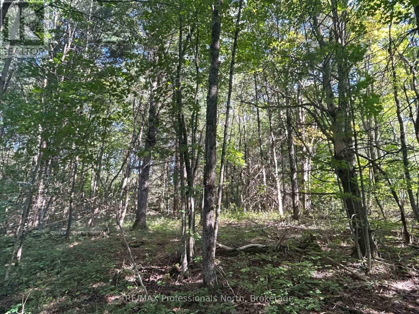 0 Gates Road, Dysart Et Al, Ontario  K0M 1S0 - Photo 13 - X12213342