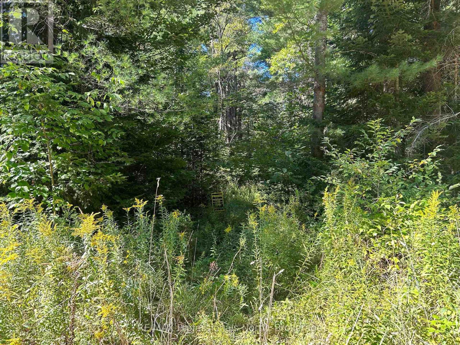 0 Gates Road, Dysart Et Al, Ontario  K0M 1S0 - Photo 6 - X12213342