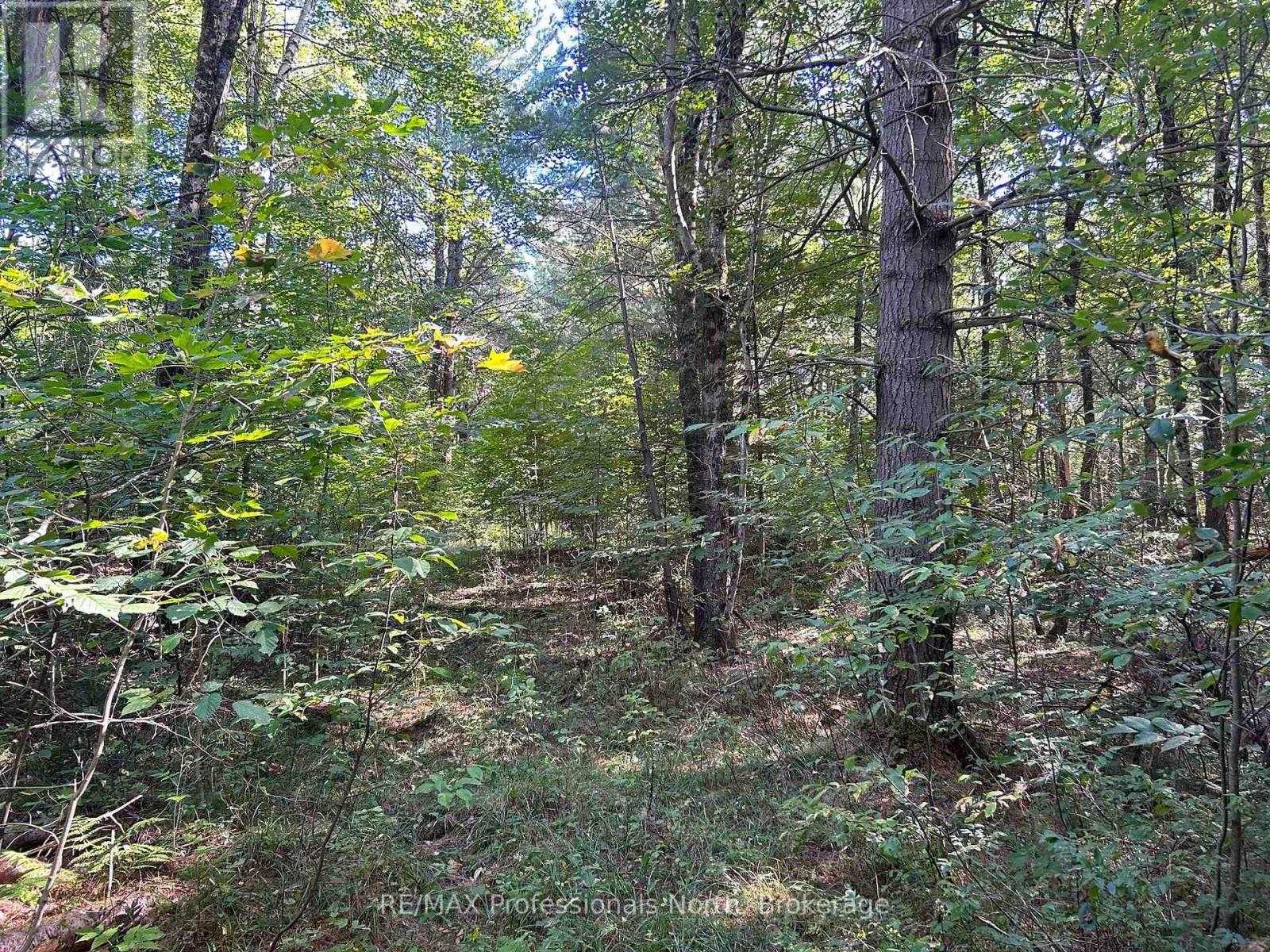 0 Gates Road, Dysart Et Al, Ontario  K0M 1S0 - Photo 9 - X12213342