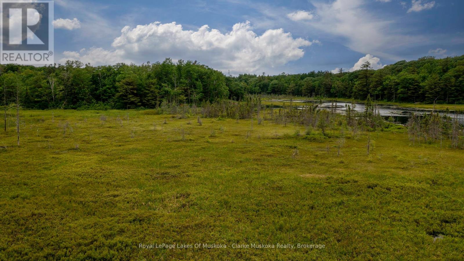 173 612 Highway, Seguin, Ontario  P0C 1H0 - Photo 20 - X12213603