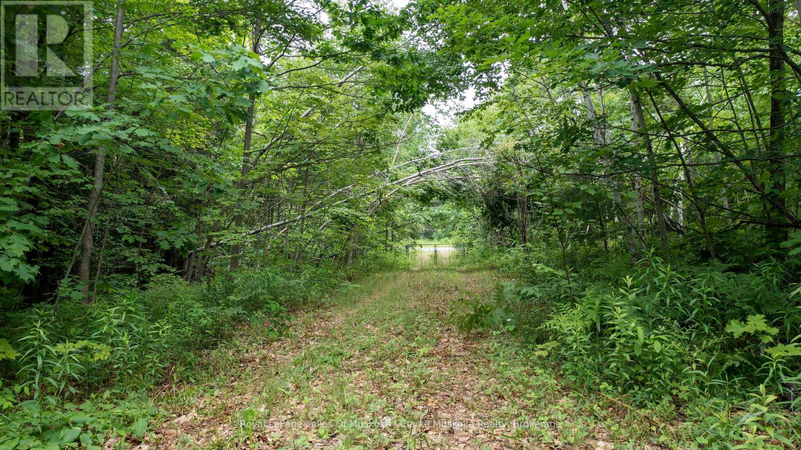 173 612 Highway, Seguin, Ontario  P0C 1H0 - Photo 26 - X12213603