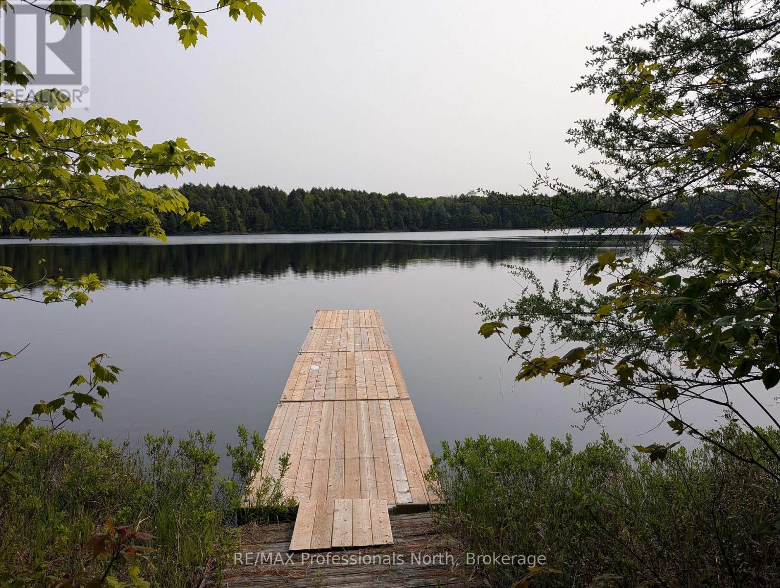 0 Woods Road, Parry Sound Remote Area, Ontario  P0A 1X0 - Photo 14 - X12214539