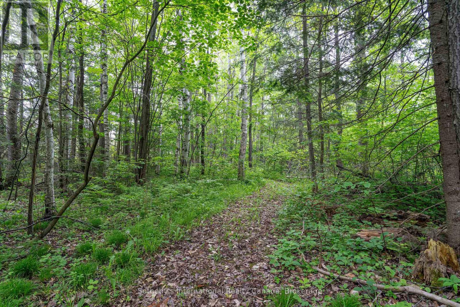 397061 5th Line, Melancthon, Ontario  L0N 1S9 - Photo 40 - X12214881