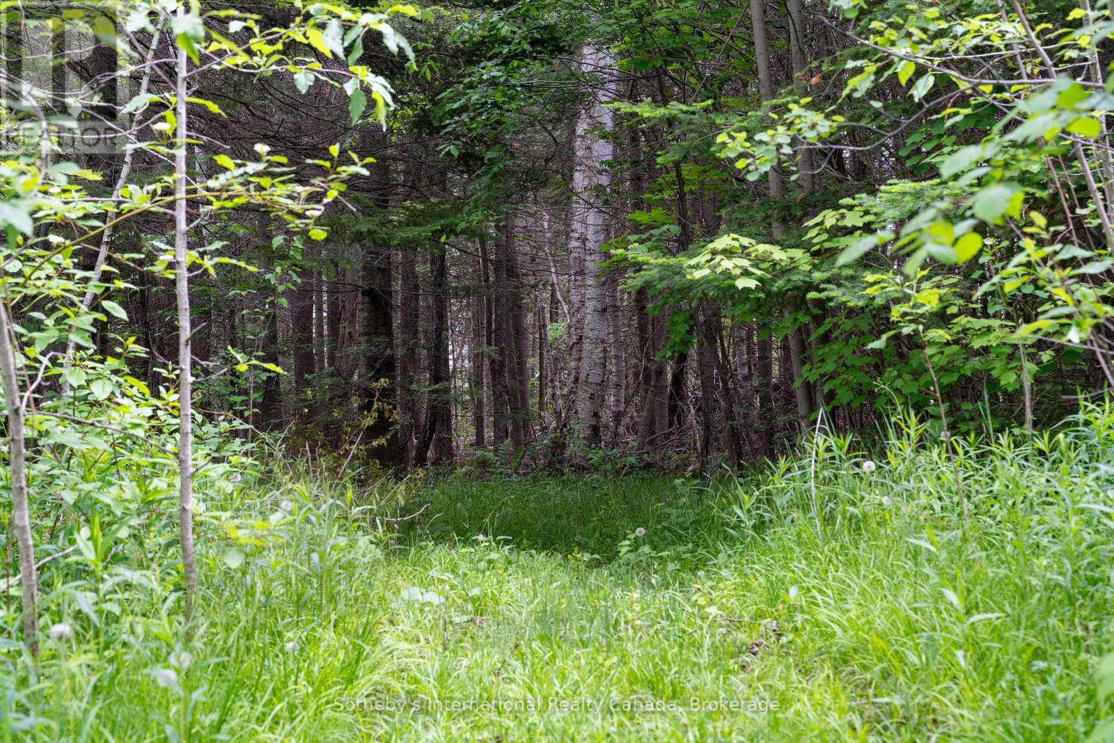 397061 5th Line, Melancthon, Ontario  L0N 1S9 - Photo 41 - X12214881