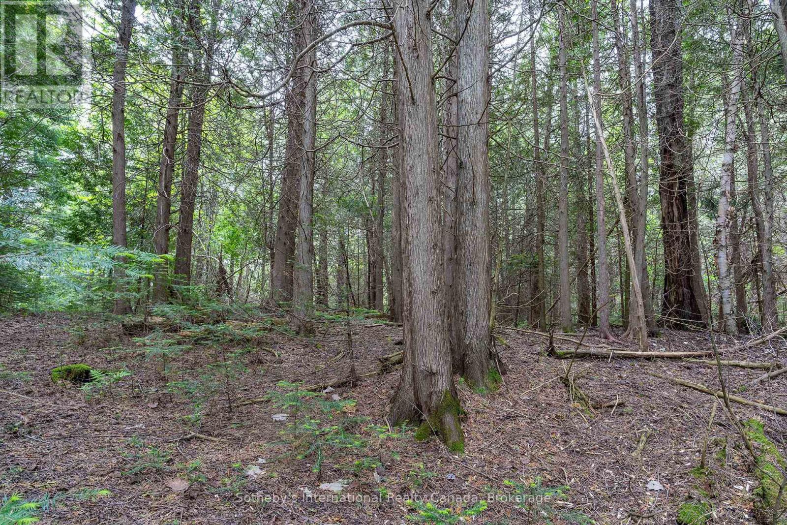 397061 5th Line, Melancthon, Ontario  L0N 1S9 - Photo 44 - X12214881