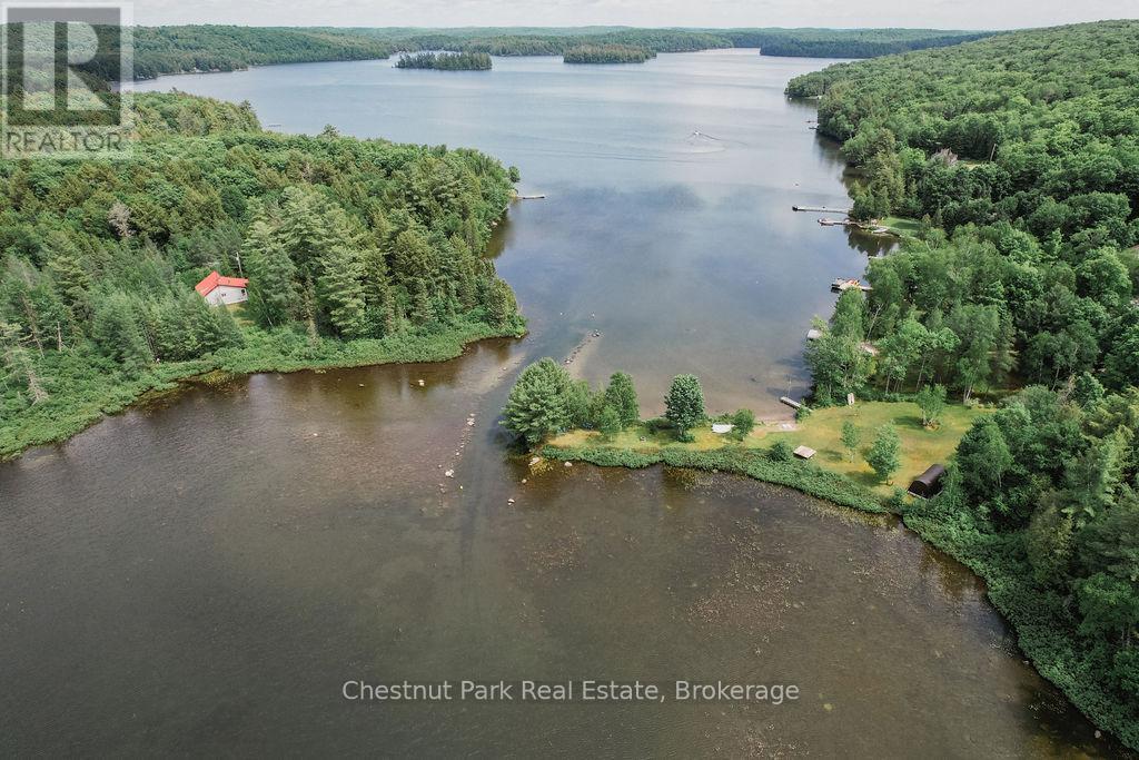 893 Relative Road, Armour, Ontario  P0A 1C0 - Photo 4 - X12214949