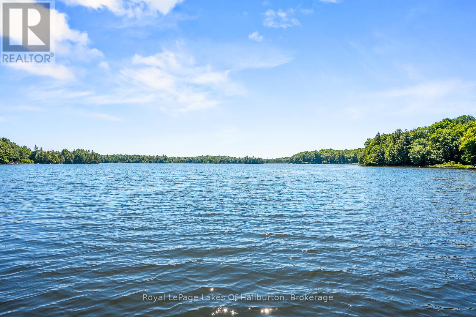 1047 Balmoral Lane, Highlands East, Ontario  K0M 1R0 - Photo 13 - X12215493