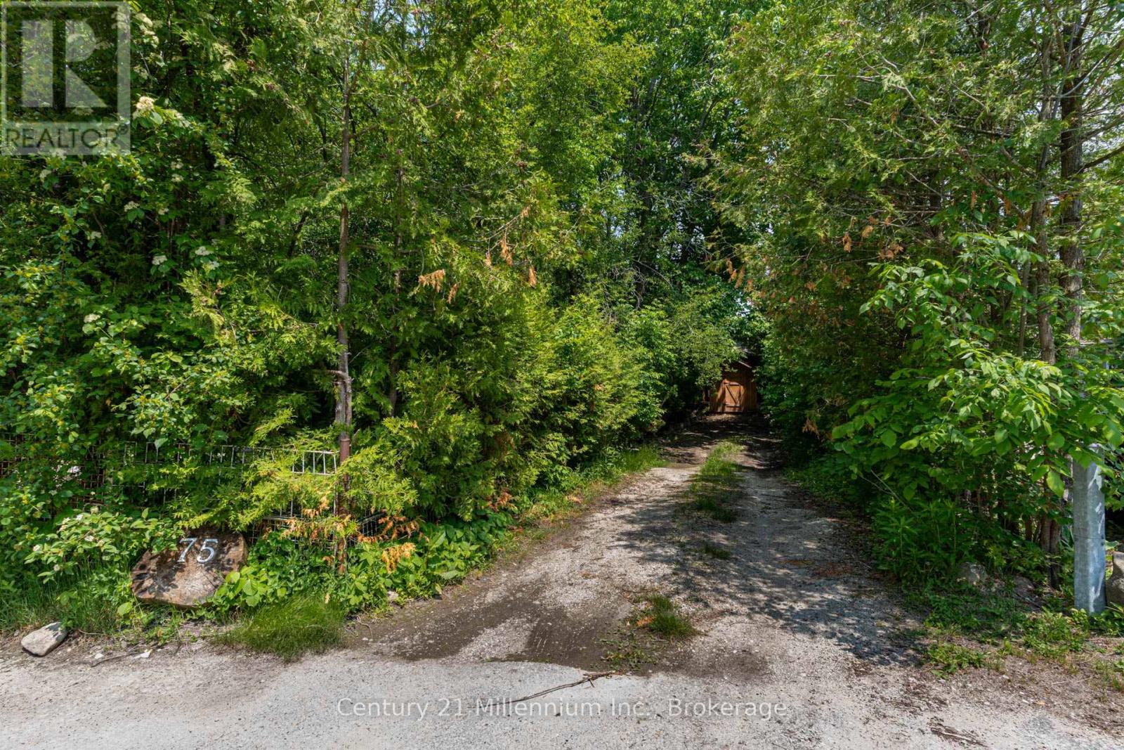 75 Glen Road, Collingwood, Ontario  L9Y 0X2 - Photo 47 - S12217267
