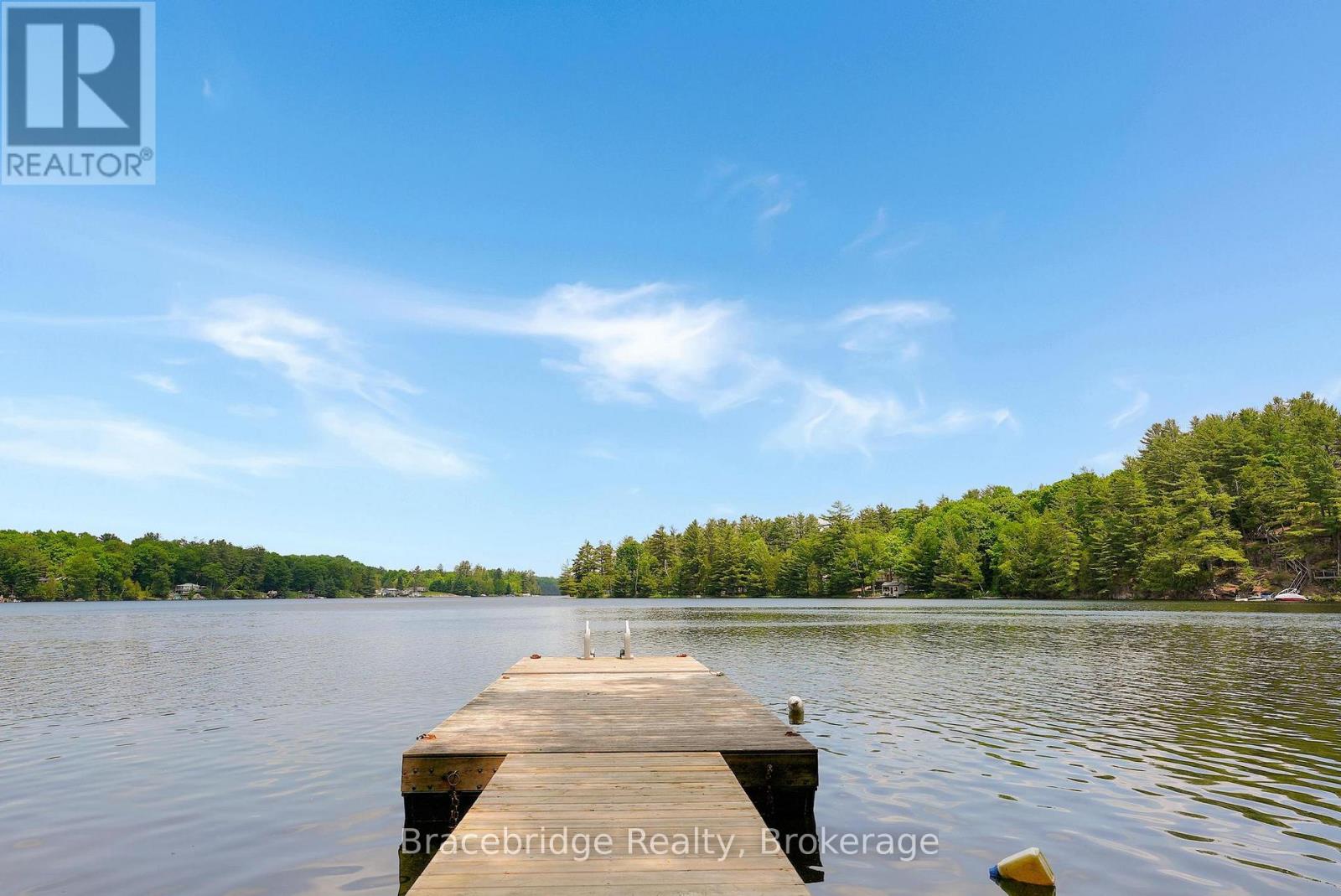 1175 Kendrick Creek Lane, Minden Hills, Ontario  K0M 2K0 - Photo 11 - X12218024