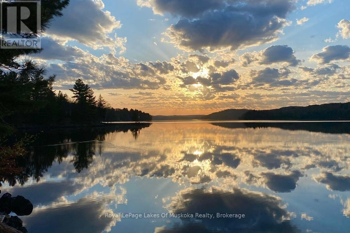 1162-2 Osborne Point Road, Lake Of Bays, Ontario  P0H 0A9 - Photo 5 - X12218234
