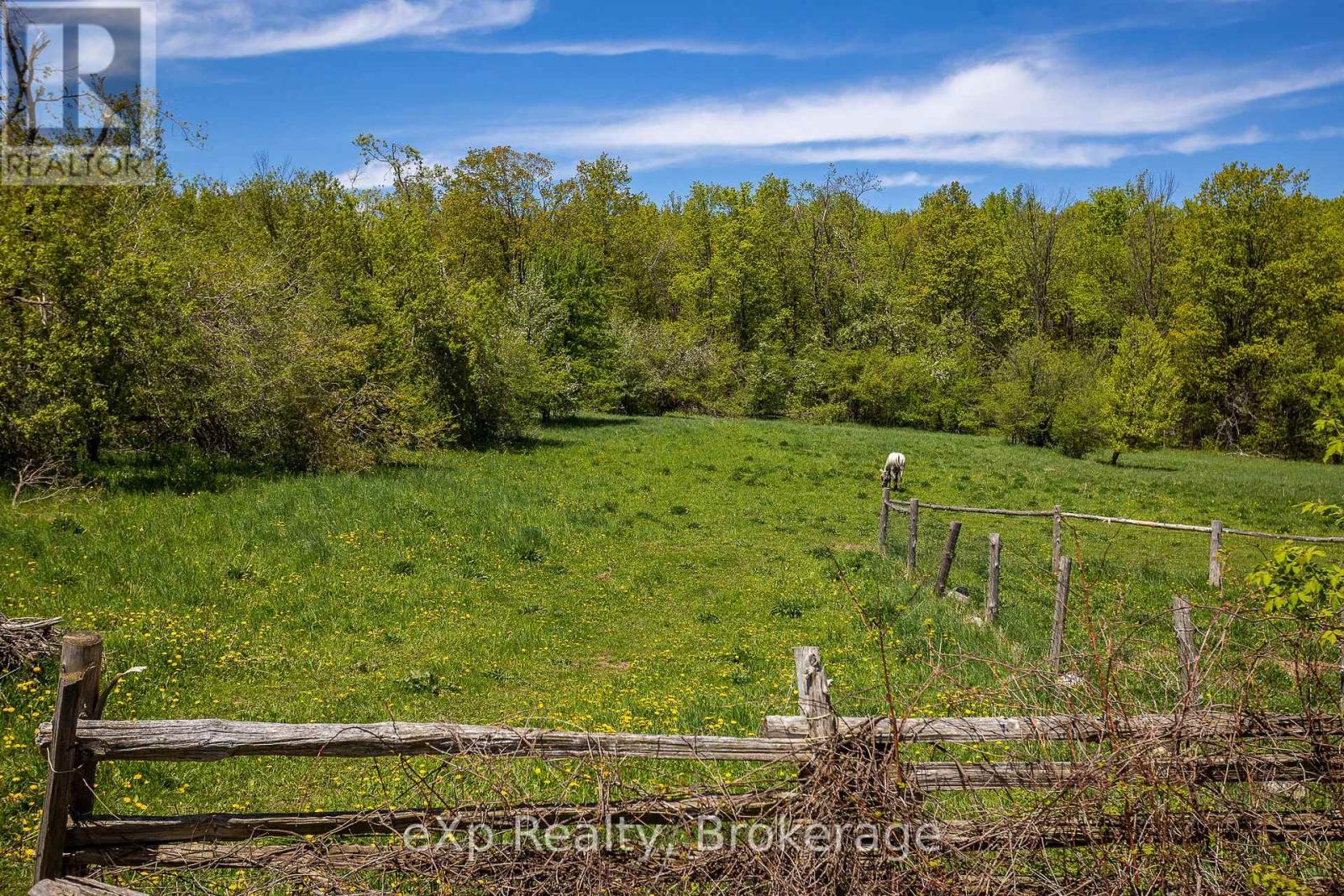 58111 12th Line, Meaford, Ontario  N4L 1W5 - Photo 38 - X12218751