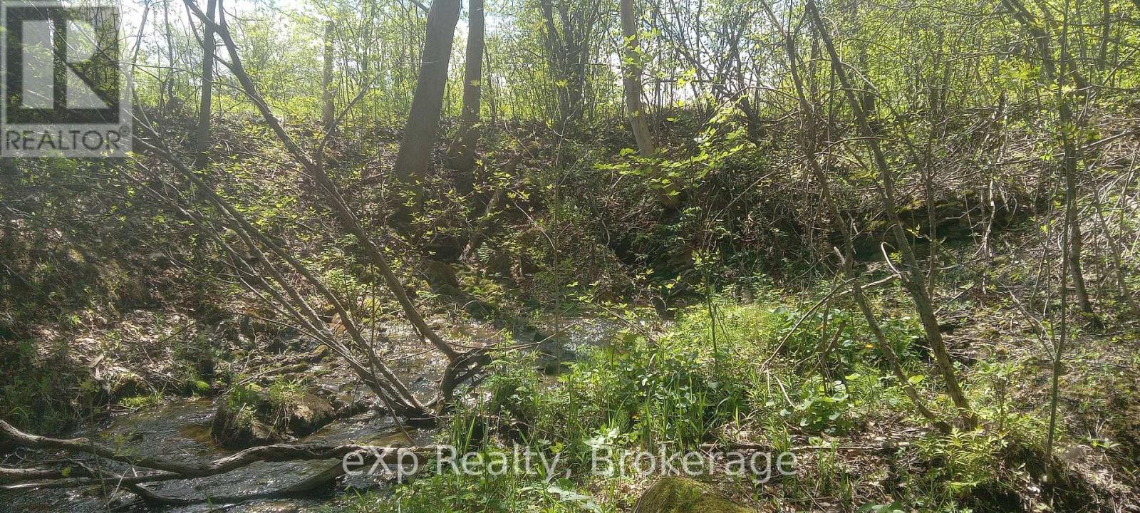 58111 12th Line, Meaford, Ontario  N4L 1W5 - Photo 41 - X12218751