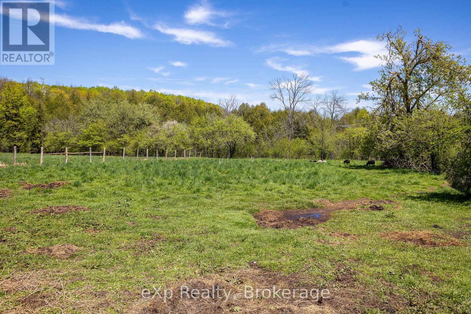58111 12th Line, Meaford, Ontario  N4L 1W5 - Photo 43 - X12218751