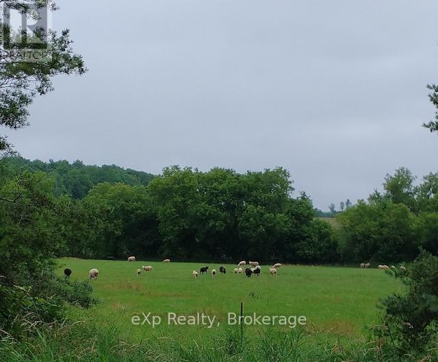 58111 12th Line, Meaford, Ontario  N4L 1W5 - Photo 44 - X12218751