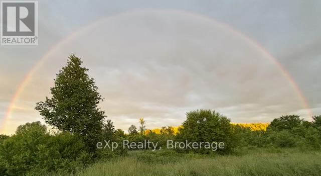 58111 12th Line, Meaford, Ontario  N4L 1W5 - Photo 46 - X12218751
