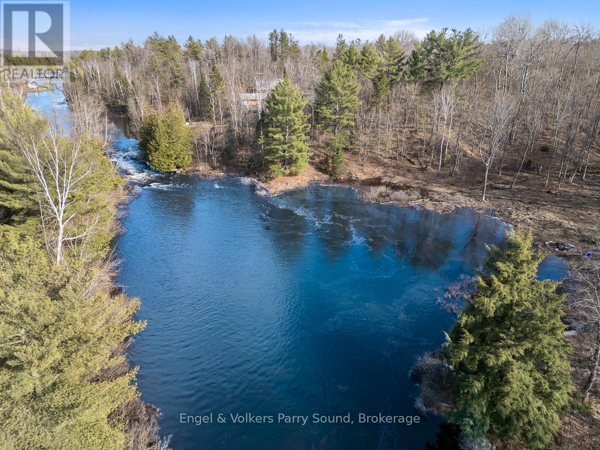 699 Bunny Trail, Whitestone, Ontario  P2A 2W8 - Photo 4 - X12219728