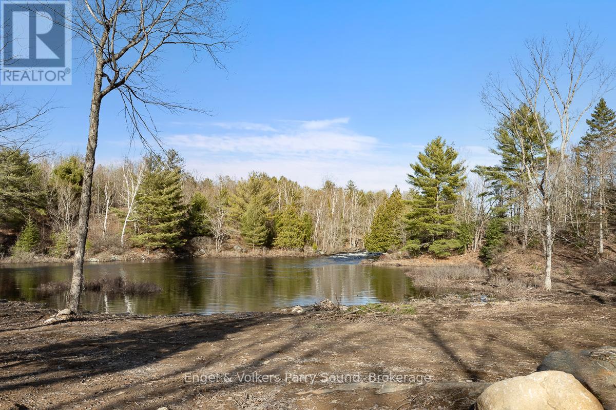 699 Bunny Trail, Whitestone, Ontario  P2A 2W8 - Photo 5 - X12219728