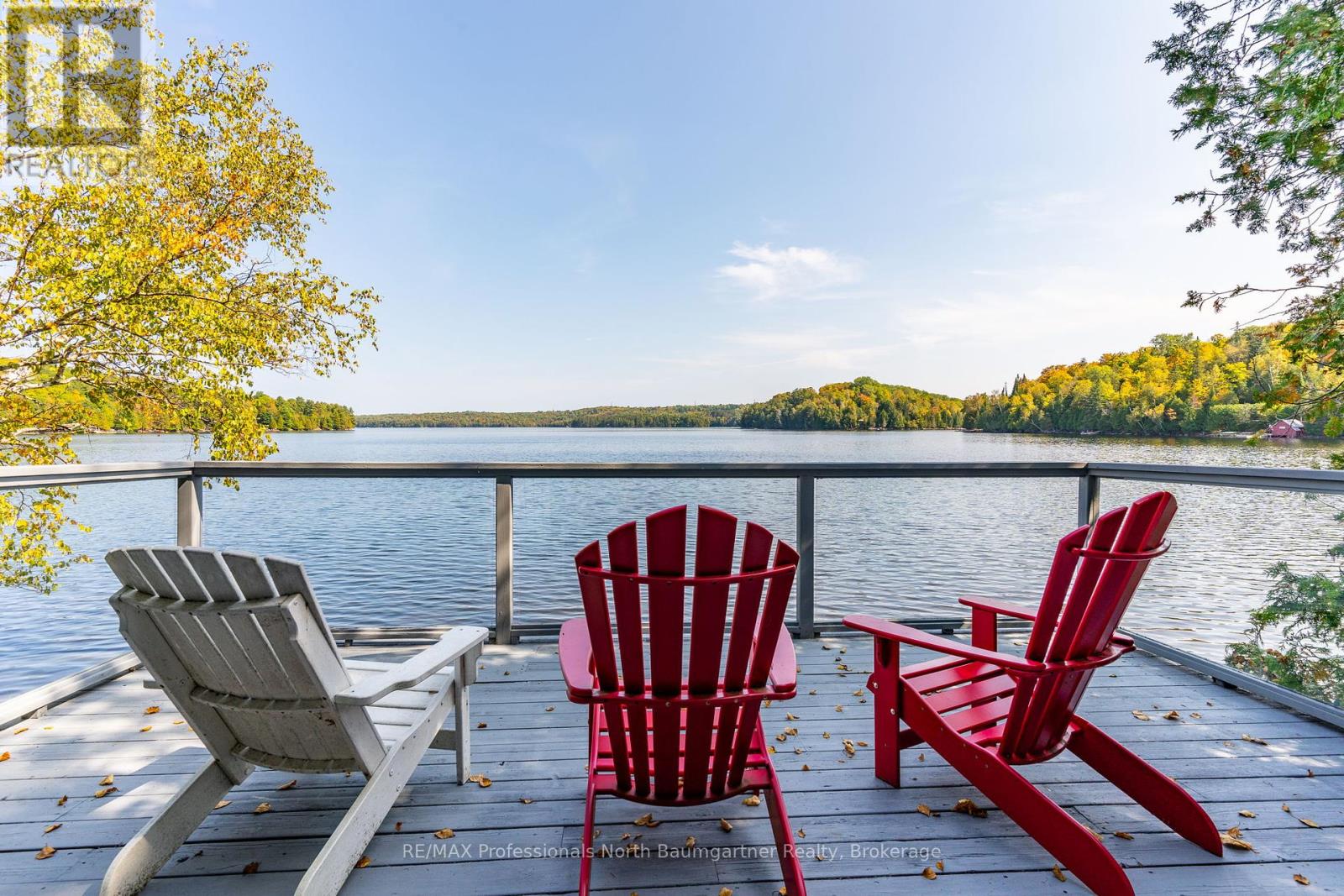 2455 Blairhampton Road, Minden Hills, Ontario  K0M 2K0 - Photo 42 - X12219995