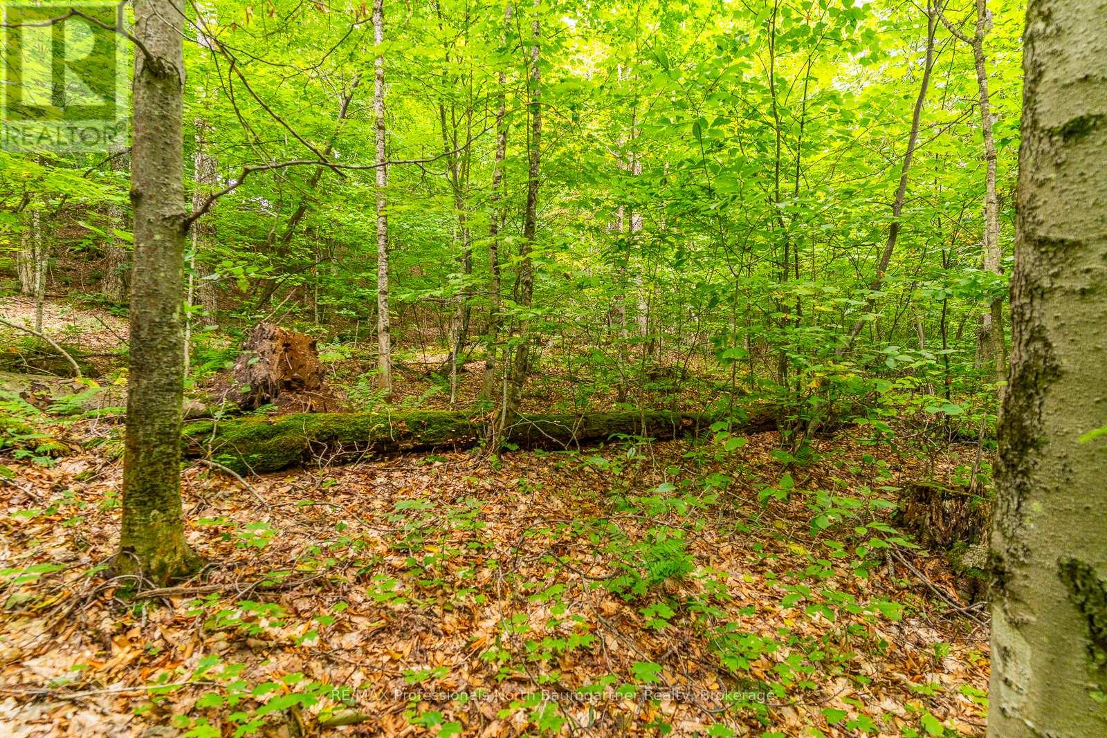 0 Adeline Trail, Dysart Et Al, Ontario  K0M 1S0 - Photo 11 - X12220289
