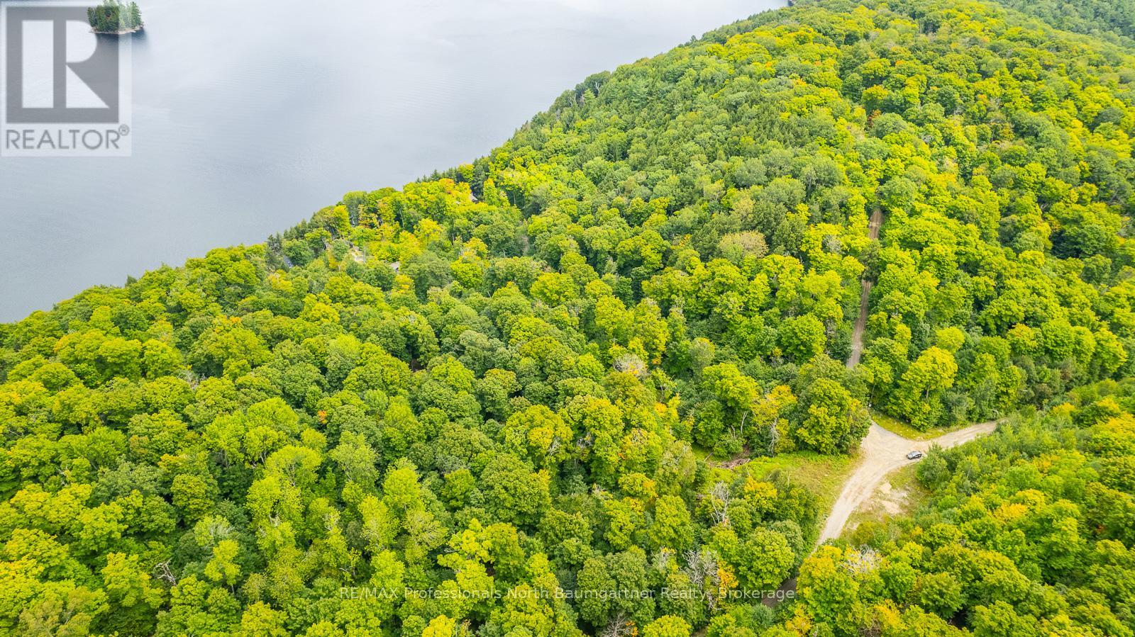0 Adeline Trail, Dysart Et Al, Ontario  K0M 1S0 - Photo 15 - X12220289