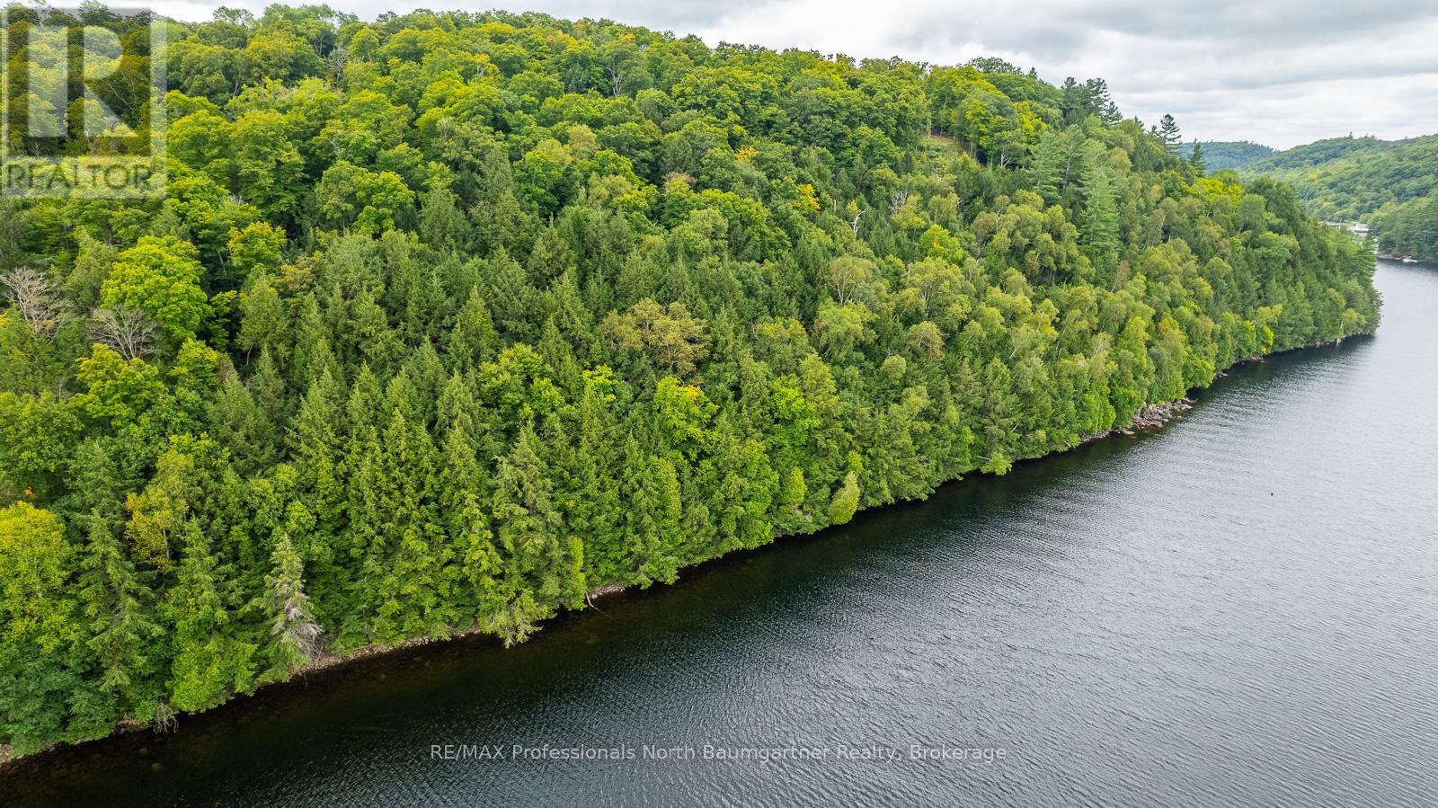 0 Adeline Trail, Dysart Et Al, Ontario  K0M 1S0 - Photo 19 - X12220289
