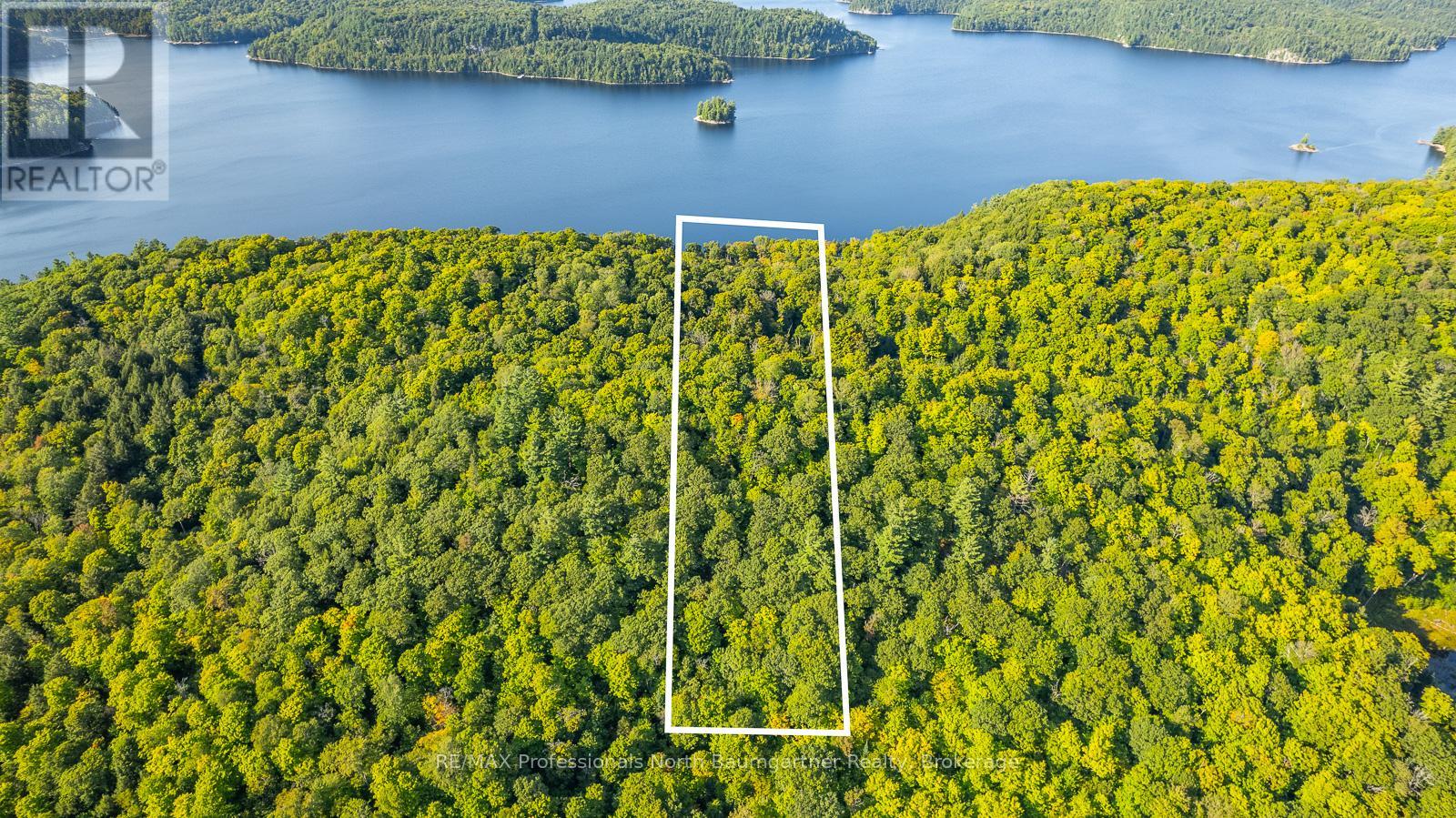 0 Adeline Trail, Dysart Et Al, Ontario  K0M 1S0 - Photo 2 - X12220289