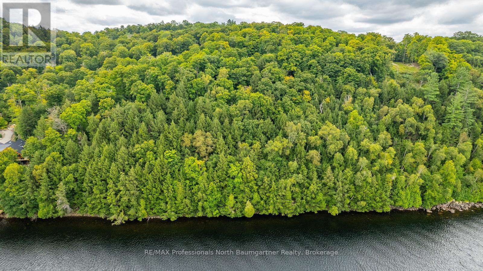 0 Adeline Trail, Dysart Et Al, Ontario  K0M 1S0 - Photo 20 - X12220289