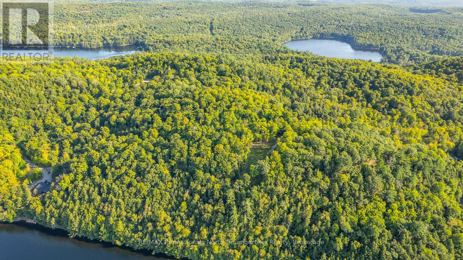 0 Adeline Trail, Dysart Et Al, Ontario  K0M 1S0 - Photo 39 - X12220289