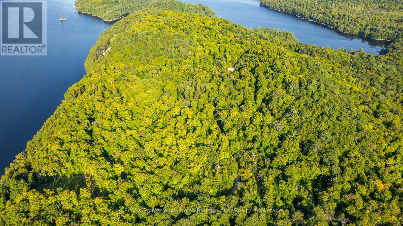 0 Adeline Trail, Dysart Et Al, Ontario  K0M 1S0 - Photo 40 - X12220289