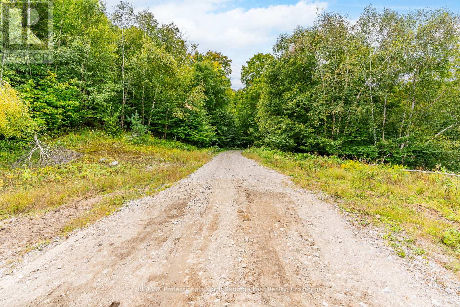 0 Adeline Trail, Dysart Et Al, Ontario  K0M 1S0 - Photo 41 - X12220289