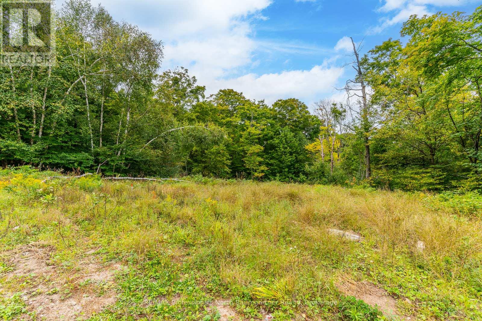 0 Adeline Trail, Dysart Et Al, Ontario  K0M 1S0 - Photo 42 - X12220289