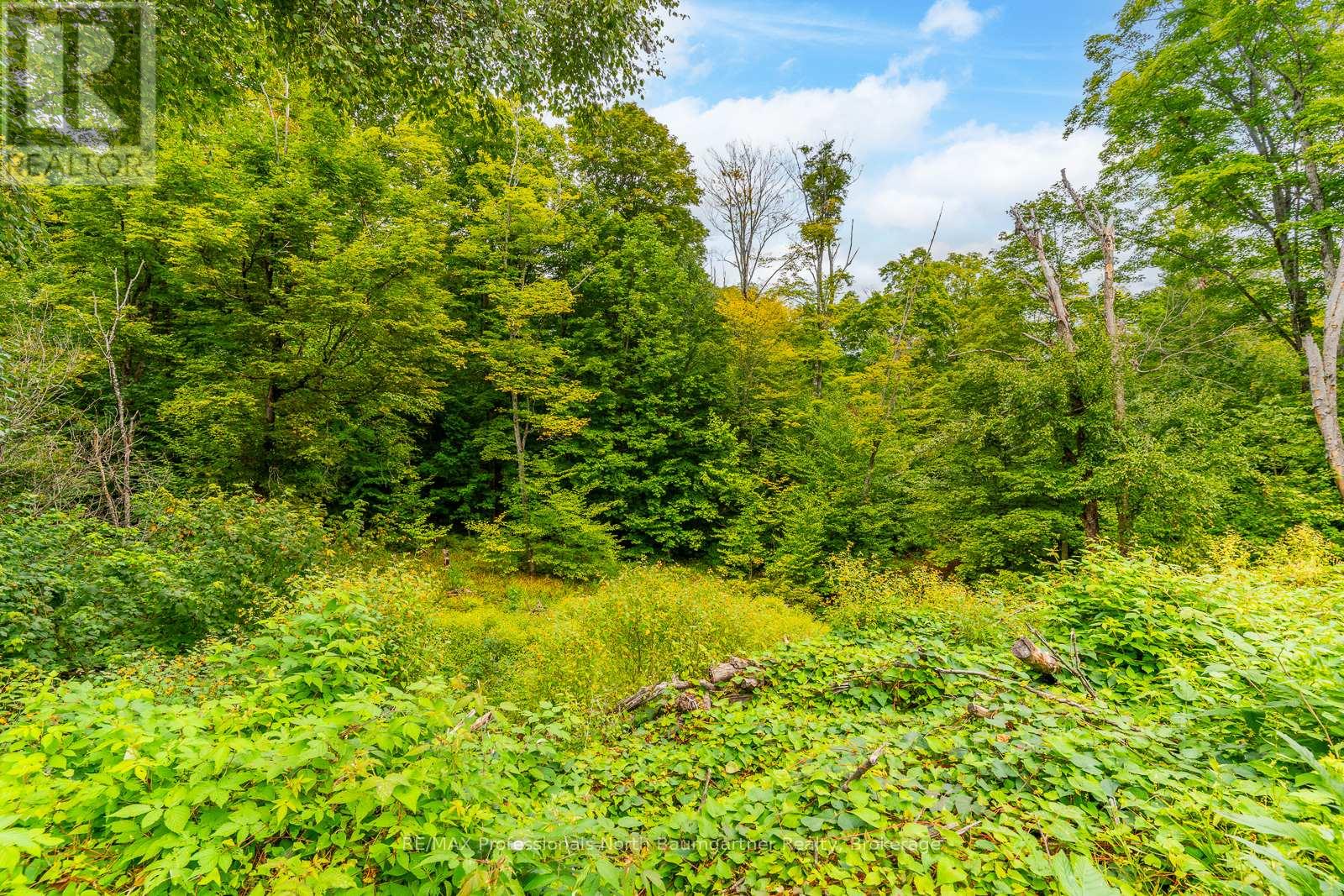 0 Adeline Trail, Dysart Et Al, Ontario  K0M 1S0 - Photo 5 - X12220289